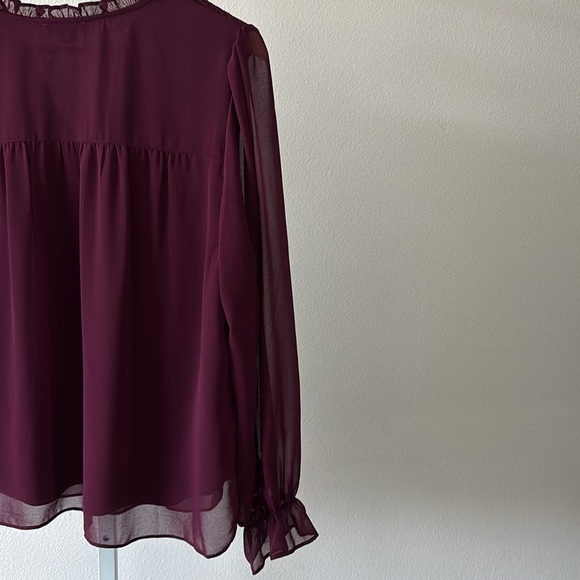 Smocked Blouse 1X Sheer Plum Ruffle Neck Tie Romantic Boho Dark Fairy Whimsigoth - Picture 4 of 10